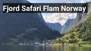 हवाओ से बात करने लगे  Fjord Safari in Flam Norway  Norway Fjord Safari  vlog viral [upl. by Stella]