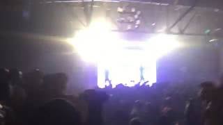 Flatbush Zombies Palm Trees Live in Houston [upl. by Amil906]