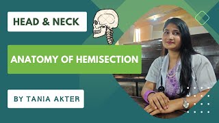 Anatomy of Hemisection of Head amp Neck  Bangla Demonstration of Hemisection  Viscera of Hemisection [upl. by Darej]