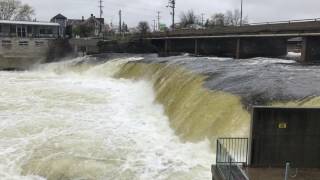 Fenelon Falls flowing fast due to heavy rains [upl. by Ocsic941]