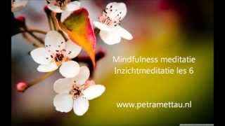 Mindfulness meditatie  Inzichtmeditatie [upl. by Gellman]