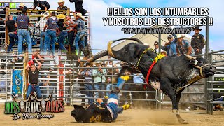 ELLOS SON LOS INTUMBABLES Y NOSOTROS LOS DESTRUCTORES  10 TOROS  Destructores En Salinas CA 2024 [upl. by Edrea]