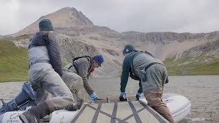 Saving Threatened Trout In Banff National Park  Techniques [upl. by Ahsakat]