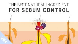 How To Control Excessive Sebum That Leads To Acne  SKINMISO Im A Helper [upl. by Vidovic]