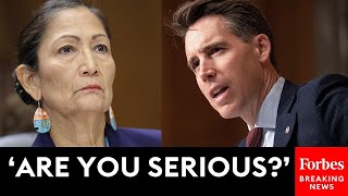 WATCH Josh Hawley Flabbergasted By Answer From Deb Haaland [upl. by Bullivant182]