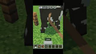 2 build hacks in Minecraftshortsminecraftbuildhack [upl. by Arual943]