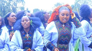 አለም አለምዬ Alem Alemye ethiopian best music 2024 [upl. by Grote]