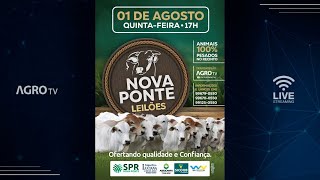 NOVA PONTE LEILÕES AO VIVO  NOVA PONTE MG [upl. by Anicul305]