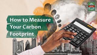 How to Calculate Your Carbon Footprint [upl. by Noy]