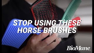 6 Brushes You Should NEVER Use on Your Horses Mane or Tail [upl. by Dorcus]