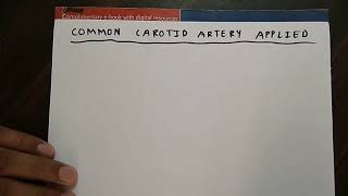 Comman Carotid Artery Applied Anatomy Chassaignac tubercle  TCML [upl. by Trumann]