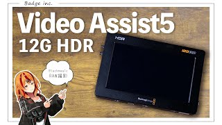 【今更聞けない】Blackmagic Video Assist 12GHDRの使い方 [upl. by Adyahs]