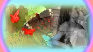 ♔Danyel Gérard  Butterfly♔ English Version [upl. by Onoitna312]