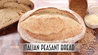 Italian Peasant Bread  Poolish Method [upl. by Atiuqihs790]