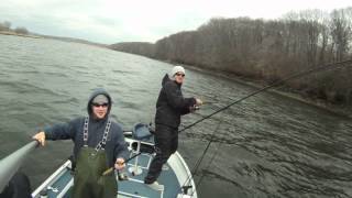 Housatonic River Striper Fishing [upl. by Maisel]