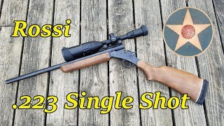 Rossi 223 Single Shot Rifle First Impressions Review [upl. by Enirehtac]