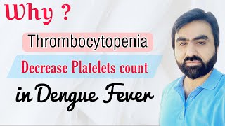 Mechanism of Thrombocytopenia in Dengue Fever Decrease Platelets count in Dengue Fever English [upl. by Endo]