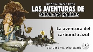 12  LAS AVENTURAS DE SHERLOCK HOLMES  LA AVENTURA DEL CARBUNCLO AZUL AUDIOLIBRO [upl. by Hui]