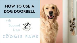 How to Use a Dog Doorbell Instructional Video from Zoomie Paws and Heaven Sent K9  Sogand [upl. by Labotsirhc472]