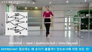 발레용어사전30 entrechat 앙트르샤 점프 로얄 앙트르샤 꺄트르 etc [upl. by Dehnel]