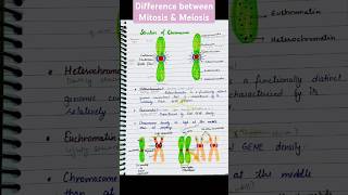 Differences between Mitosis amp Meiosis Structure of Chromosome biology neet status pw shorts [upl. by Assenar]