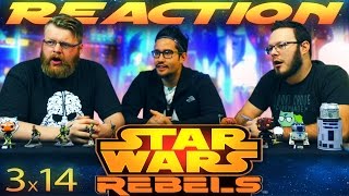 Star Wars Rebels 3x14 REACTION quotTrials of the Darksaberquot [upl. by Sidwel]