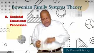 Bowenian Family Systems Theory Lecture [upl. by Daryl]