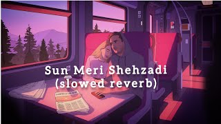 Sun Meri Shehzadi  slowed reverb  AshwaniMachal [upl. by Fedora]