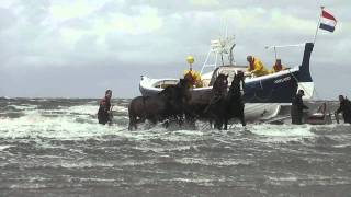 Demonstratie Paardenreddingboot Ameland [upl. by Bergerac412]