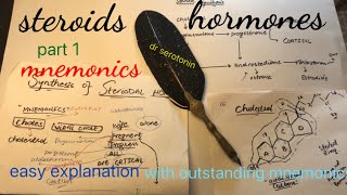 steroids hormones synthesis Mnemonicsdr serotonin [upl. by Okomom]