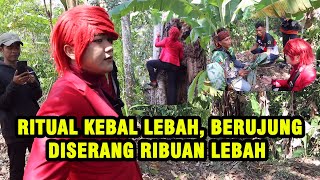 PANIK HAMPIR T3W4S ‼️ BONGKAR RITUAL KEBAL LEBAH PESULAP MERAH DISERANG RIBUAN LEBAH  ILMU MERAH [upl. by Shannen]