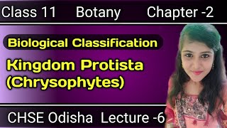 Kingdom protista Class 11 Botany Biological Classification CHSE Odisha Lecture 6 [upl. by Adien]