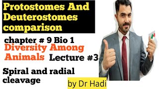 Detailed explanation of comparison between Protostomes and Deuterostomes [upl. by Annairb750]