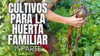 Cultivos para la huerta familiar primera parte [upl. by Paulette]