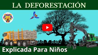 La importancia de los bosques nativos [upl. by Ydnirb]