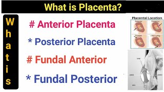 Fundal posterior placenta meansfundal anterioranteriorposterior placenta means‎Amma teju [upl. by Antonella863]