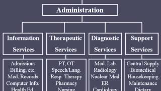 Hospital Organizational Structure [upl. by Grishilde934]