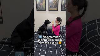 4 DIAS MORANDO SOZINHO COM AQUELA QE NÃO ME QUERIA😭 cachorro pitbull cachorros pitbul maedepet [upl. by Esiuolyram466]