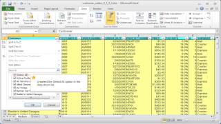 Excel criteria Filtering criteria in more than one column AND [upl. by Notsehc]