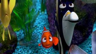 Little Clownfish from the reef Finding Nemo [upl. by Akiehsal746]