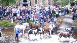 appleby horse fair 09 girl gets pushed in river by horse [upl. by Amzu]