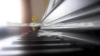 Wanita  Dehearty Piano Cover [upl. by Amiarom907]