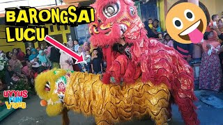 WOWAtraksi BARONGSAI Lucu Ternyata Bisa Begini [upl. by Eislel639]