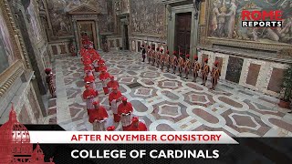 Where College of Cardinals stands after November consistory [upl. by Alel]