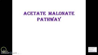 Acetate Malonate Pathway [upl. by Rehc]