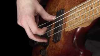 Learn Bass  How to Pluck the Strings [upl. by Reinar]