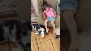 Pet pig and dog join napping toddler for a cozy cuddle  Humankind shorts goodnews [upl. by Clover262]