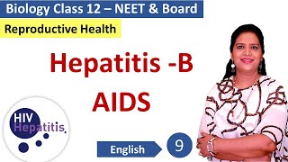 Hepatitis B and AIDS Viral STDs NCERT Class 12 Biology [upl. by Bakerman683]