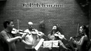 Concierto para 4 Violines Nº 2 TWV 40202 II Grave G P Telemann [upl. by Trill89]