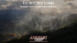 Le dernier Loup 🐺 Musique chamanique Amérindienne 🐺 [upl. by Sueaddaht]